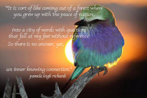 Bird Sitting On a Tree Quote