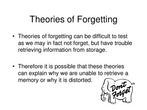 Theories of Forgetting - PowerPoint