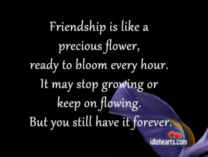 Friendship is like a precious flower, ready to bloom every hour.