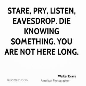 Stare, pry, listen, eavesdrop. Die knowing something. You are not here ...