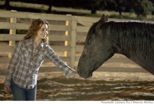 ... of the many horses who played Flicka in the children's movie.Photo: Ho