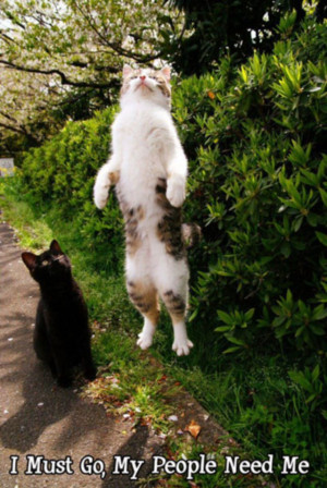 Funny Animals that are simply awesome (36 Photos)