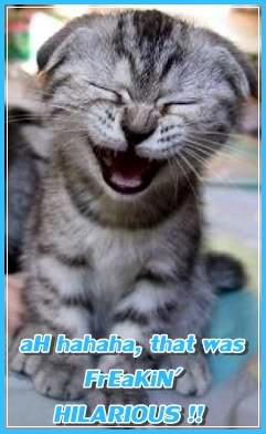 http://www.pics22.com/ah-hahaha-that-was-freakin-hilarious-cat-quote/