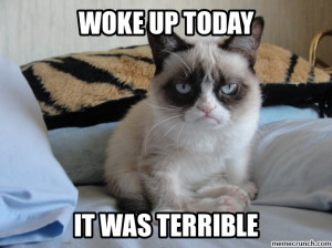 Generate a meme using Grumpy Cat on Mondays