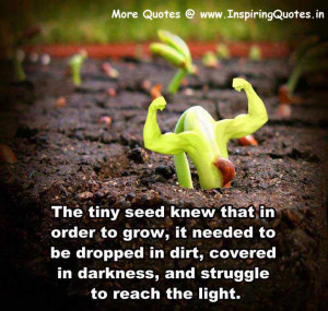 The seed knew that in order to grow, it needed to be dropped in dirt ...