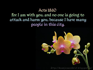 John Bible Verse About Peace