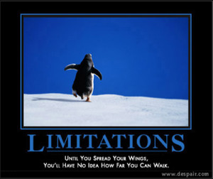 Limitations.png
