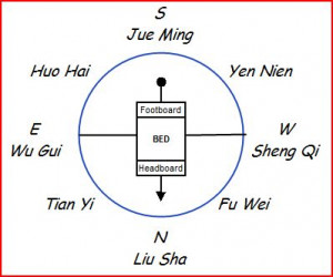 Dog Sleeping In Bed Diagram Refer to the below diagram.