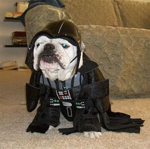 Cool War Quotes .Tumble About Life For Girls On Attitude For Facebook ...