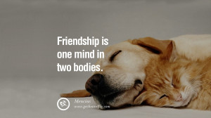 quotes about friendship love friends Friendship is one mind in two ...