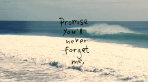 if you’re the one who’ll promise me, that you’ll never forget ...