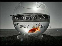 of my mind shannon draper quotes | Out of My Mind: msba, sharon draper ...