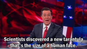 Stephen Colbert The Report