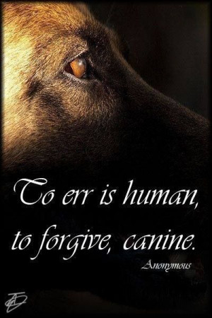 To err is human...to forgive, canine.