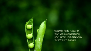 ... Pictures quote wallpapers inspirational quote wallpapers love quote