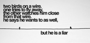 Two Birds On A Wire, One Tries To Fly Away, The Other Watches Him ...