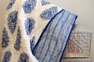 Rani Blue Quilts, Books and Friendship
