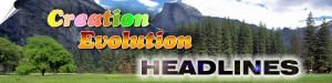 Creation-Evolution Headlines