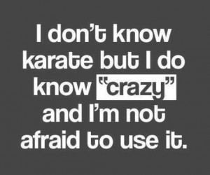 Quotes_I don't know karate