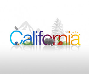 Type: Insurance type Auto Insurance Health Insurance Home Insurance ...