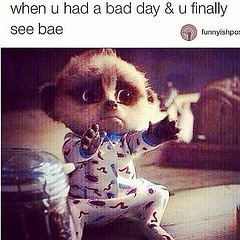 memes#funnu#ifunny#nobae#bae#missing (torresm1013) Tags: missing bae ...