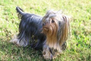 Funny Quotes Contact Us DMCA Notice