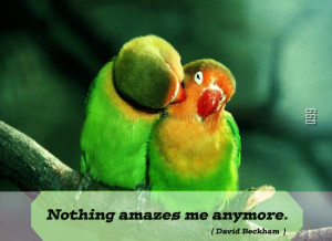 ... www quotes99 com nothing amazes me anymore img http www quotes99 com