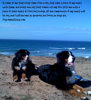 If you enjoyed this article, please consider sharing it!