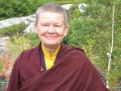 What To Do When The Going Gets Rough (Pema Chodron)