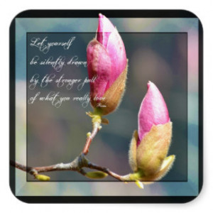 Quotes About Magnolia Flowers