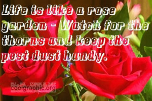Life Is Like Roses Quotes