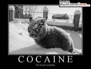 COCAINE So much cocaine