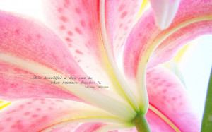 Posted by jennifer devi