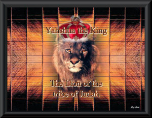 ... i299.photobucket.com/albums/mm286/lkp7488/Yahweh/Lion_of_Judah252.jpg