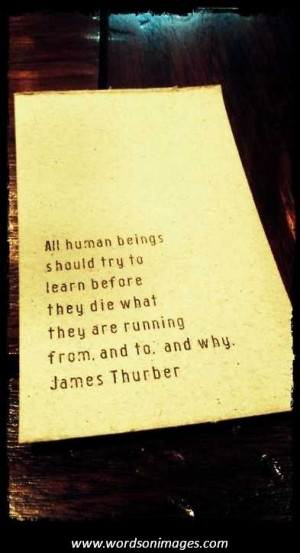 James thurber quotes