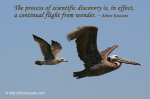 process of scientific discovery