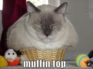 Oatmeal Muffins