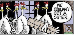 Funny Chicken Egg Sitter Cartoon Image Joke - We couldn't get a sitter