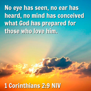 What no eye has seen, nor ear heard, nor the heart of man imagined ...