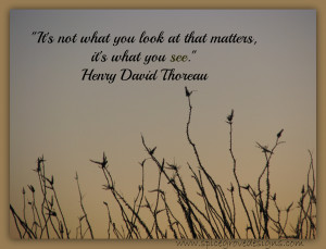 February 28th, 2014 | Posted by Spice Grove Designs in Inspiration ...