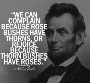 ... rose bushes have thorns, or rejoice because thorn bushes have roses