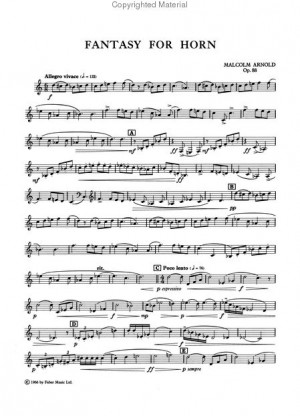 TODO TROMPA ( All French Horn). Blog dedicado al mundo de la trompa.