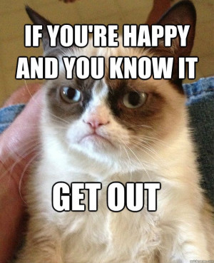 ... in our loves cats on. The Grumpy Cat Quotes . Humorous Grumpy Quotes