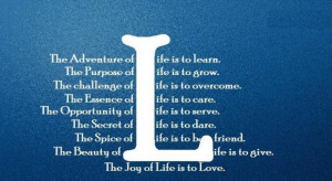 The adventure of life is to learn challenge quote