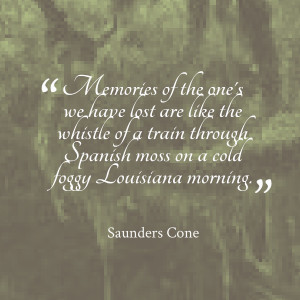 ... of a train through spanish moss on a cold foggy louisiana morning