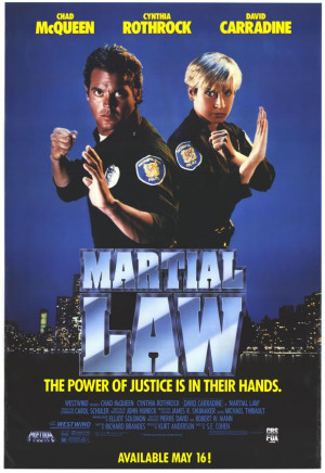 Son In Law Movie Martial flick - martial cinema