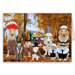 funny_cats_dogs_labs_as_pilgrims_and_indians_card ...