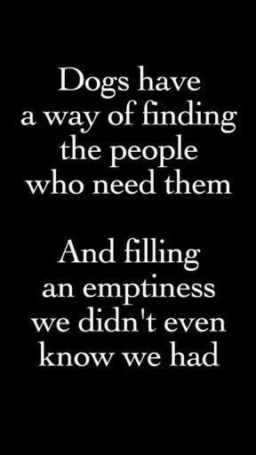 15 Dog Quotes That Will Make You Love Your Dog More