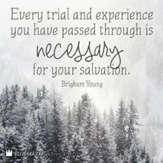 LDS quotes on trials