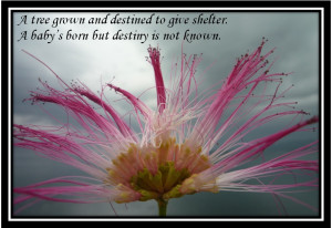 Have a wonderful day! Always remember to smile and happy because ...